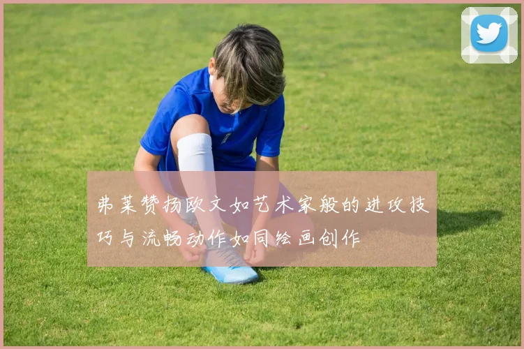 弗莱赞扬欧文如艺术家般的进攻技巧与流畅动作如同绘画创作