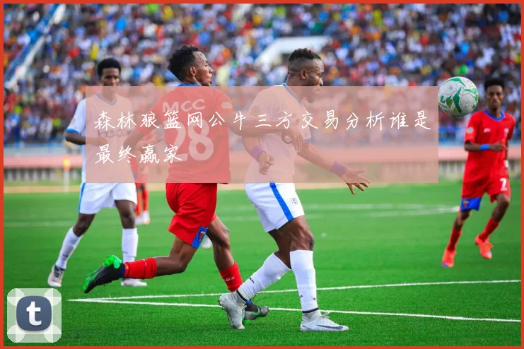 森林狼篮网公牛三方交易分析谁是最终赢家