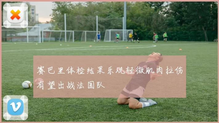赛巴里体检结果乐观轻微肌肉拉伤有望出战法国队