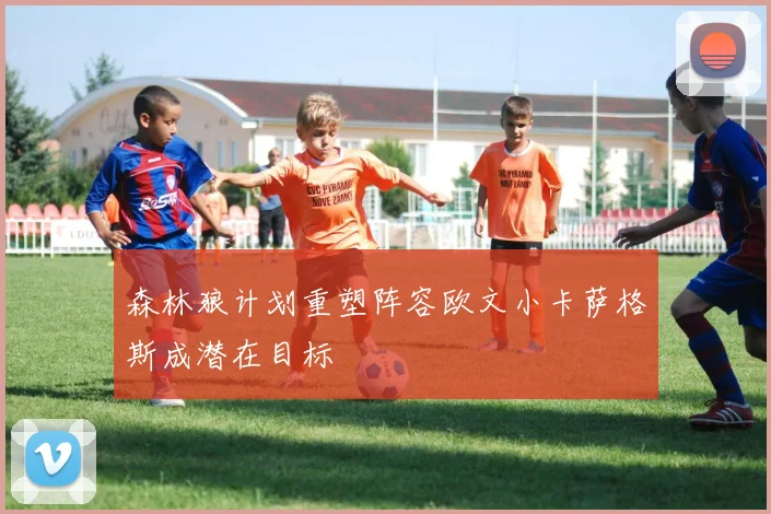 森林狼计划重塑阵容欧文小卡萨格斯成潜在目标