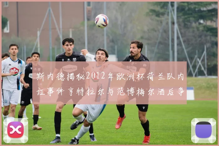斯内德揭秘2012年欧洲杯荷兰队内讧事件亨特拉尔与范博梅尔酒后争执内幕