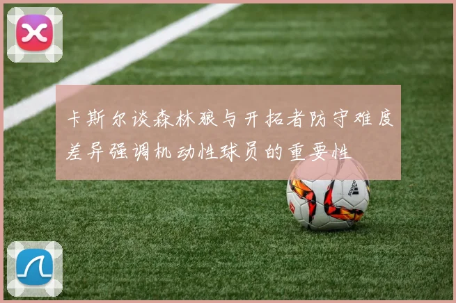 卡斯尔谈森林狼与开拓者防守难度差异强调机动性球员的重要性